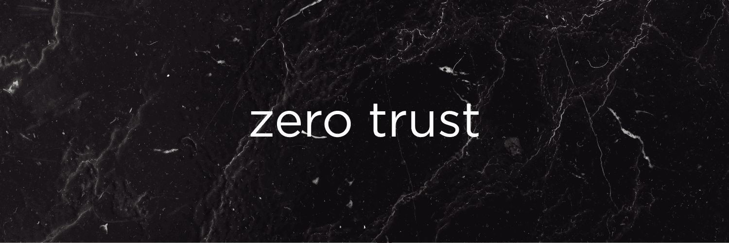 Understanding Zero Trust Security