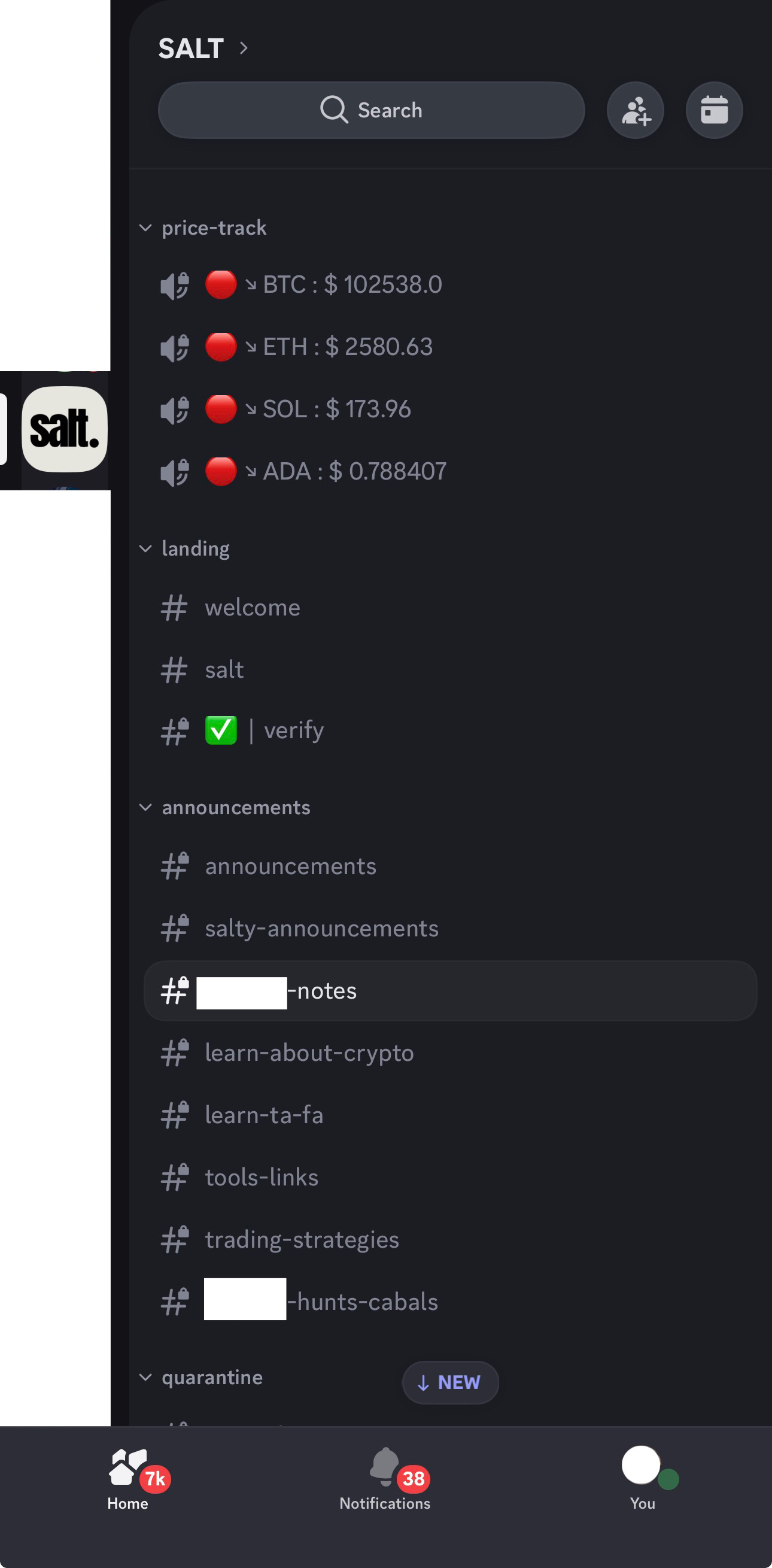 discord-salt